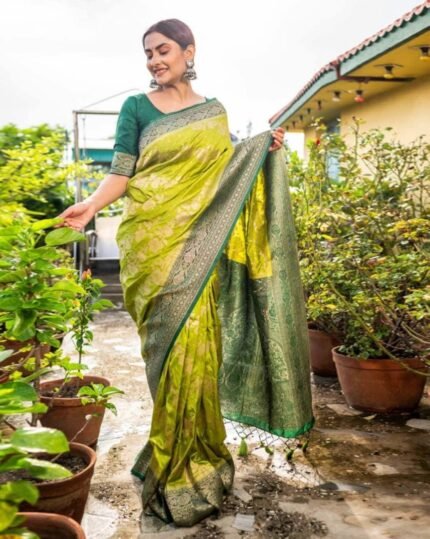 Women Floral Woven Saree with Contrast Border